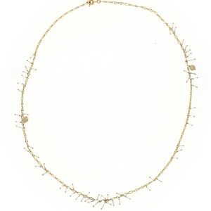 JCrew: necklace- long, clear beads